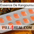 Kangaroo Essence 26
